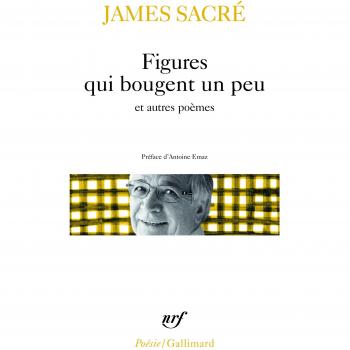 Figures qui bougent un peu et autres poèmes