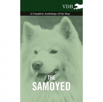 The Samoyed