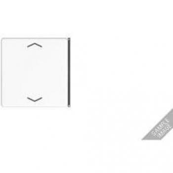 JUNG Taster 2‑Kanal mit Zeichenfolge – Modell A404TSAPANM23