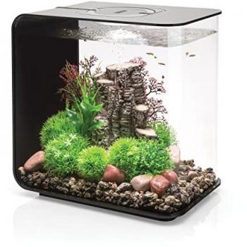 Linea OASE Flow 30 LED