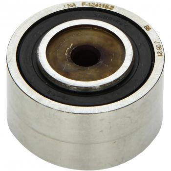 Cuscinetti Tendicinghia INA 532033510