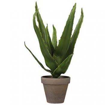 Aloe Vera Kunstpflanze Mica, Topf grün, 30 x 16 cm