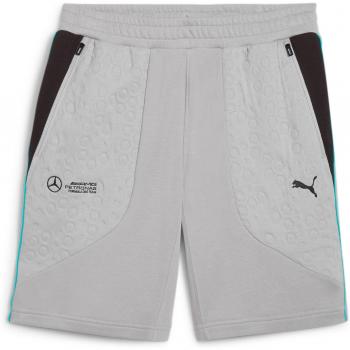 Puma MAPF1 Herren Bermuda Shorts Grau S