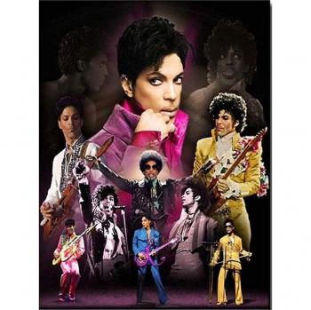 Jeu de Puzzle Prince Grand 300 pièces