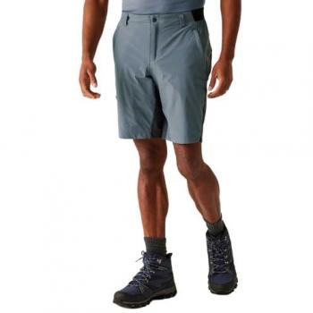 Short de Sport Regatta Eldes Homme Gris Taille 50