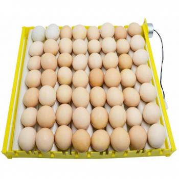Rotary Automatic Roller Pattern Egg Turner Tray for Plastic Eggs Incubator (Durable)