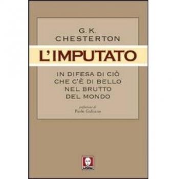 L' imputato. In difesa di ciò che c'è di bello nel brutto del mondo