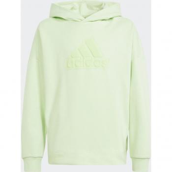Sudadera Adidas U FI LOGO HD Verde
