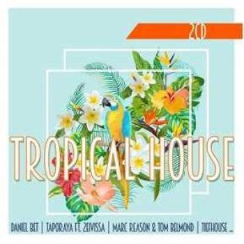 Maison Tropicale Eclectique