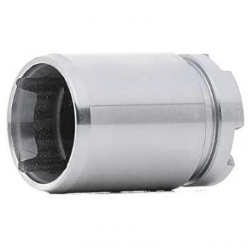 Ridex Pistone Pinza Freno Assale Post Bilaterale 2248P0039 per Honda ROVER MG Civic VI Hatchback (EJ, EK) Civ V Hatchback (EG)