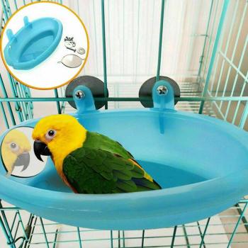 Bird Bath Tub for Cage