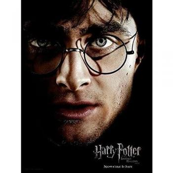 Vetro 30x40 cm: Harry Face di Fuienko