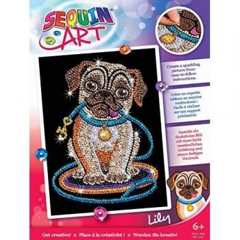 Sequin Art