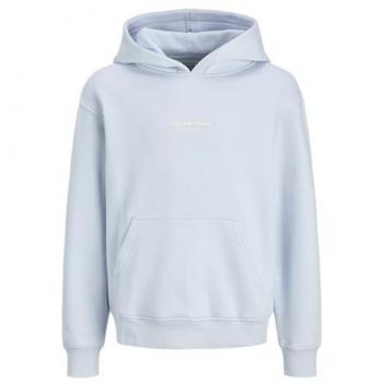 Jack & Jones Junior Hooded Sweatshirt „Vesterbro“ – Bedruckter Pullover (176 cm)