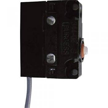 Microinterruttore V4NCS2-0,5M Saia 1 x On / (On)