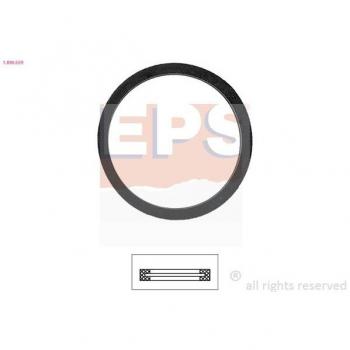ThermoGuard Italy Gasket (OE 1890559)