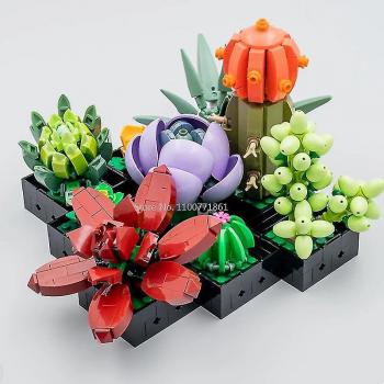 Juguete de Ladrillos: Suculentas y Orquídeas