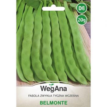 Fagiolo Belmonte 20g