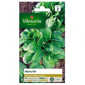 Mâche Vit (Vilmorin)