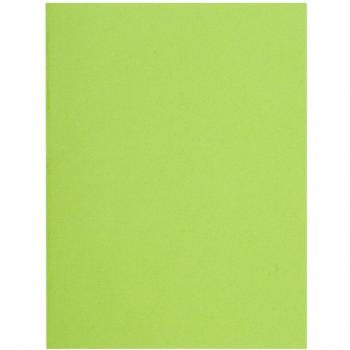 Lot 100 chemises Tilleul 24x32 cm Recyclé Exacompta