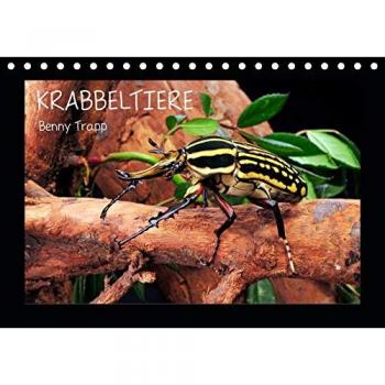 Krabbeltiere