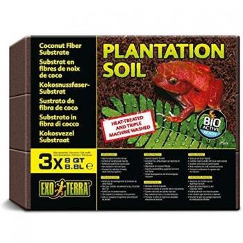 Coco briques pour plantation
