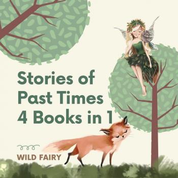 Fairy, Wild: Stories of Past Times