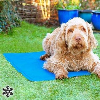 Tapis de Refroidissement M&M's pour Animaux