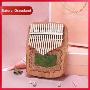 17-Key Handheld Kalimba for Early Learning