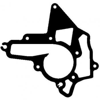 ELRING Dichtung, Wasserpumpe OPEL,SUZUKI,VAUXHALL 809.284