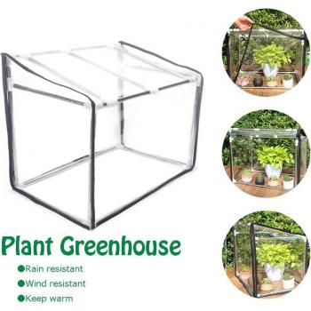 Mini-Abri Plantes Transparente
