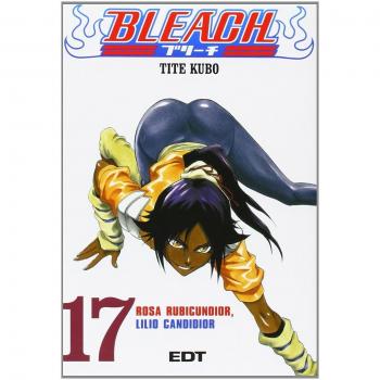 Bleach 17, Bleach
