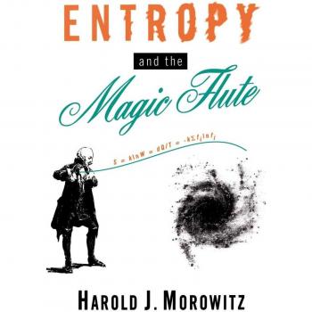 Entropy and the Magic Flute