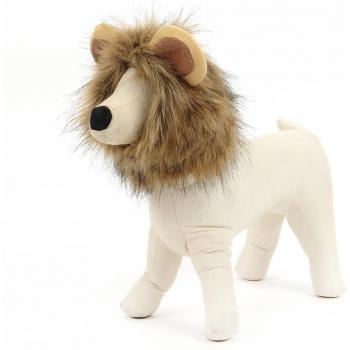 Lion Mane Wig for Cats
