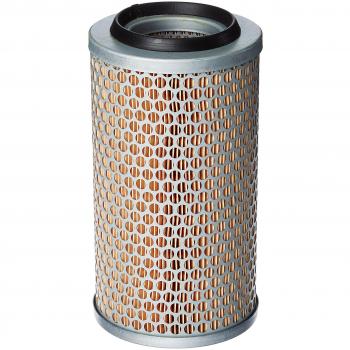 MANN-FILTER Filtro Aria C 13 131