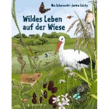 Wildes Leben auf der Wiese