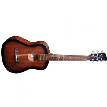 2025 Brunswick BT200TB Tobacco Burst