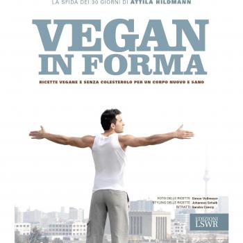 Vegan in forma. Ricette vegane e senza colesterolo per un corpo nuovo e sano. Ediz. illustrata