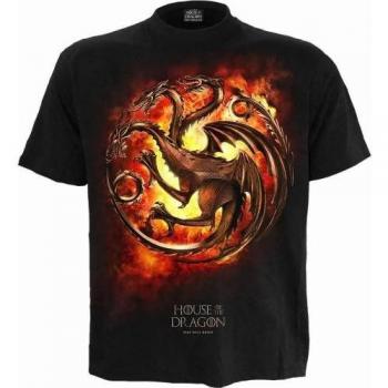 Unisex Adult Dragon Flames T-Shirt