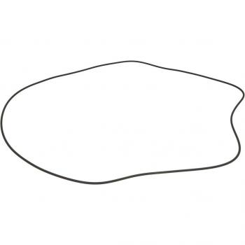 ZF 0501325573ZF Getriebe O‑Ring