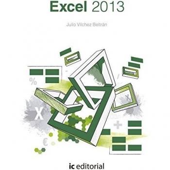 EXCEL 2013