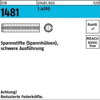 Perno pesante 3,5 × 24 mm DIN 1481 1.4310