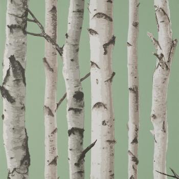Fine Decor Birch Trees Sage Matte Wallpaper