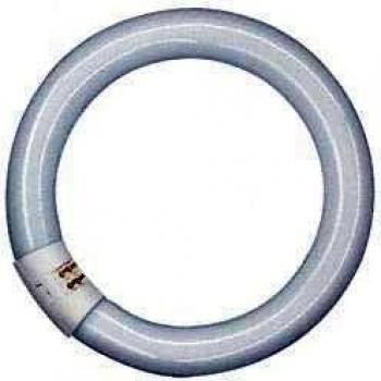 Tubo Fluorescente Circolare Osram T9 216 Mm, Bianco