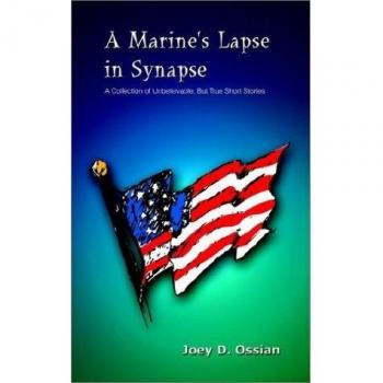 A Marine's Lapse in Synapse: A Collection of Unbelievable, But True Short Stories