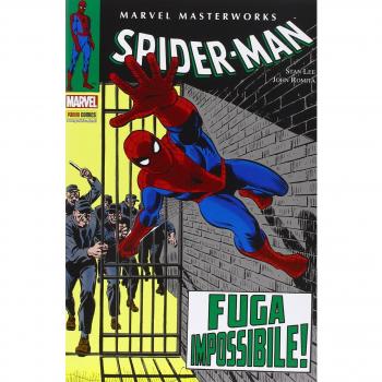 The amazing Spider-Man