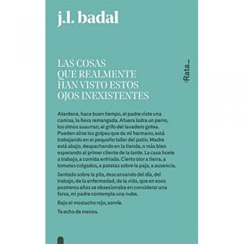 LAS COSAS QUE REALMENTE HAN VISTO ESTOS OJOS INEXISTENTES