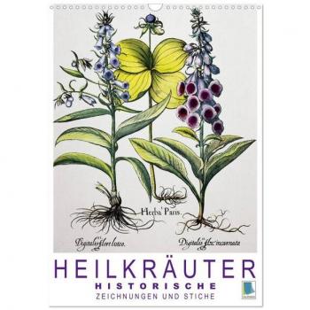 Calvendo, Calvendo: Heilkräuter: Historische Zeichnungen und Stiche (Wandkalender 2025 DIN A3 hoch), CALVENDO Monatskalender