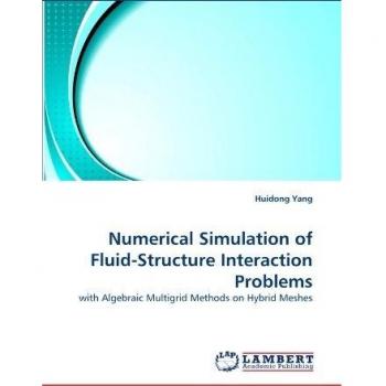 Numerical Simulation of Fluid-Structure Interaction Problems: with Algebraic Multigrid Methods on Hybrid Meshes