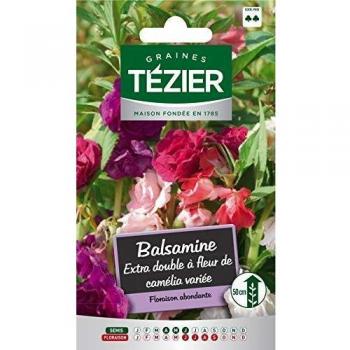 Tezier